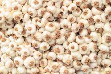 Hundreds of garlic in a market, garlic background