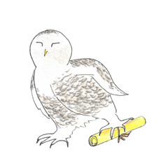 Bukla carries a scroll with a letter in his paw. The polar white owl from the Harry Potter tale. Watercolor's pencils and liner hand drawn illustration