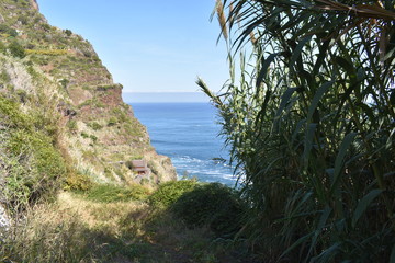 Fototapeta premium Hiking trail to Sao Lourenco with the blue ocean in Madeira, Portugal