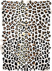 wild gold and black pattern leopard. Fashion Vector illustration. leopard print texture pattern