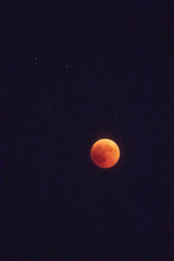 blood moon