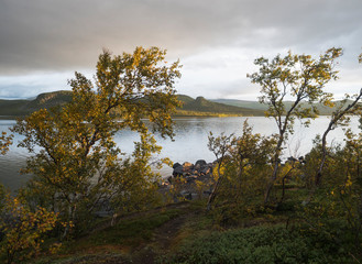 Beatiful golden light sunrise at river Lulealven in Saltoluokta in Sweden Lapland. Green rocky mountain, birch trees and clouds.