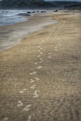 footprints on the beach