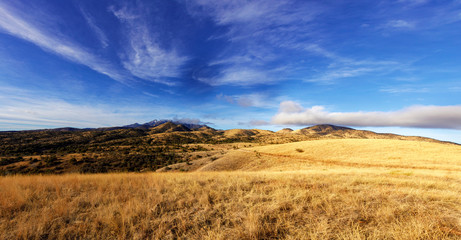 Fototapeta na wymiar Grasslands in the Hills of Southern Arizona