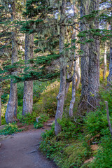 Alaska Cuise + Monterey