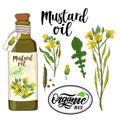 bottle of mustard oil and mustard flower elements
