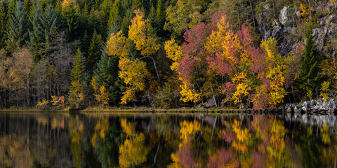 Fototapeta premium Autumn Reflections