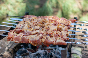 Juicy barbecue on the grill