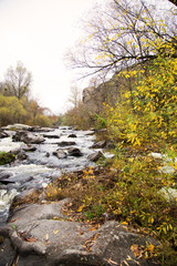 Beautiful landscape. Trees, river and stones. The rapid flow of the river. Beauty of nature. Vertical picture.