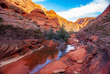 Winter in Snow Canyon State Park