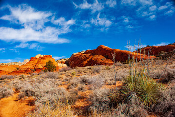 Obraz premium Clouds, Sandstone, and Cactus in Snow Canyon State Park