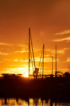 Sunset in the port. Photo with masts on the sunset. Ensenada. Baja California. Mexico.