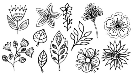 Floral vector illustration. Flowers and leaves on white background. Line art doodles. Hand drawing floral set. © Iryna
