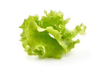 Lettuce Salad leaf, isolated on white background