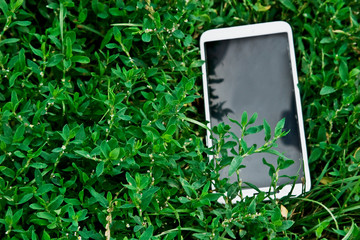 Mobile phone close-up. Phone screen on a light background