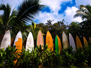 row of surfboards stacked as a fence in Maui, Hawaii - obrazy, fototapety, plakaty