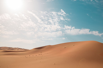 UAE. Desert  landscape
