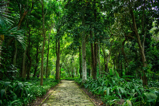 O Parque Henrique Lage &eacute; uma incr&iacute;vel mistura entre arquitetura e natureza no Rio de Janeiro