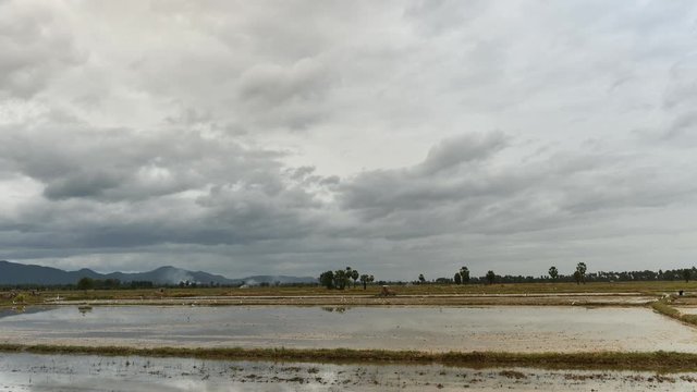 Time lapse tractors working on farmland agriculture