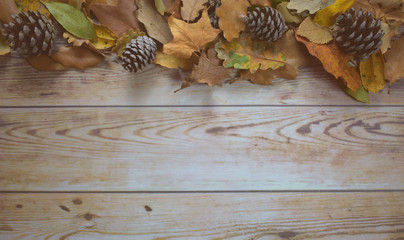  Autumnal background on wooden boards
