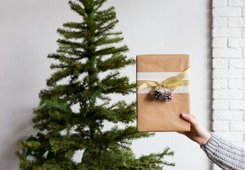 Gift box in woman's hand and christmas tree behind