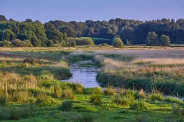 flussniederung eidertal