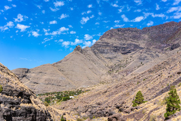 Fototapeta na wymiar Volcanic landscape in Gran Canaria