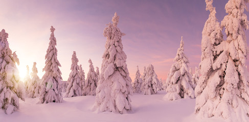 Beautiful winter mountains landscape, trees covered with snow.