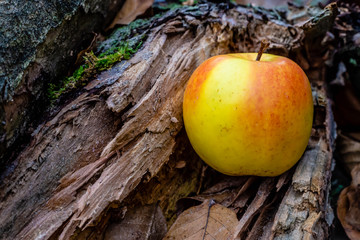Apple on the wood. Background, texture. Close-up.