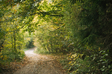 Hike along the railway to get to the small climbing area