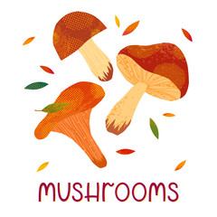 Vector illustration of different types of mushrooms: aspen mushroom,porcini,chanterelle on a white background.Seasonal products.Healthy nutrition.Agricultural fair.Harvest season.Vector illustrations.