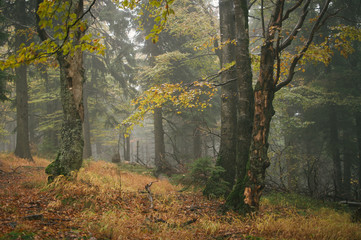 Autumn in Jeseniky mountains, first snow on the tops