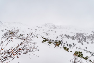 A winter alpine mountain landscape in a snow storm.