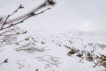 A winter alpine mountain landscape in a snow storm.