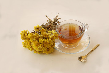 Goldfinch (Helichrysum Arenarium) on white background and goldfinch tea in cup.