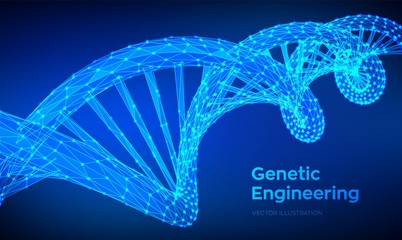 DNA sequence. Abstract 3d polygonal wireframe DNA molecules structure mesh. DNA code editable template. Science and Technology concept. 3d Low Poly Vector illustration.