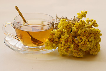 Goldfinch (Helichrysum Arenarium) on white background and goldfinch tea in cup.