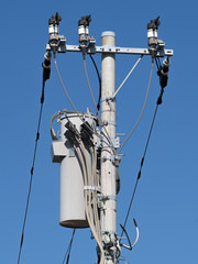 電線と電柱
