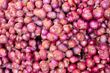  Red onion