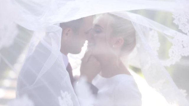 Blurred portrait under a white beautiful wedding veil of a kissing young couple in love