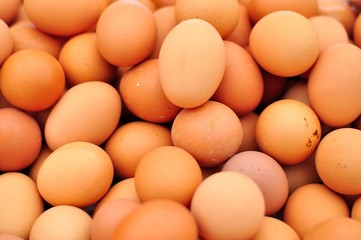 eggs on a background