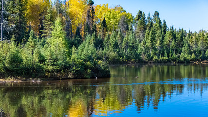 Fototapeta na wymiar A lake in the forest in Canada, during the Indian summer, beautiful colors of the trees