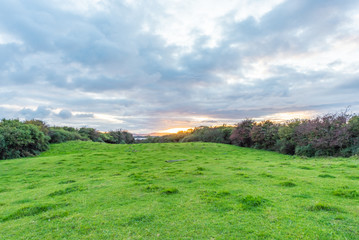 Obraz premium landscape with green field and blue sky