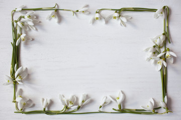 Spring flowers snowdrops on wooden background