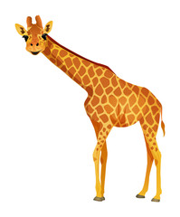 Cartoon giraffe isolated on a white background. Vector illustration. © Intpro