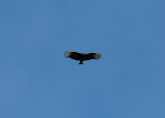 Sky High