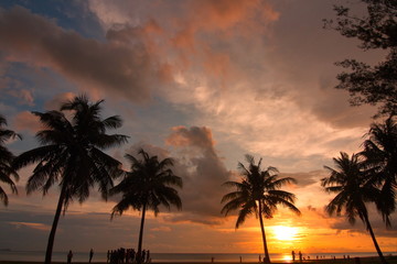 Fototapeta na wymiar Beautiful sunset with silhouette tree at beach