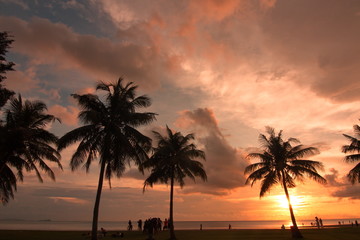 Naklejka na ściany i meble Beautiful sunset with silhouette tree at beach