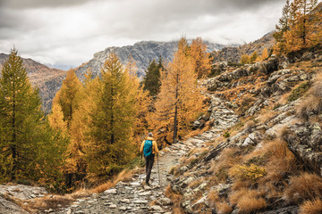 Fototapeta na wymiar Hiker walking through alpine plateau in autumn, Sondrio, Italy