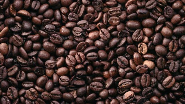 Rotating pale of roasted coffee beans